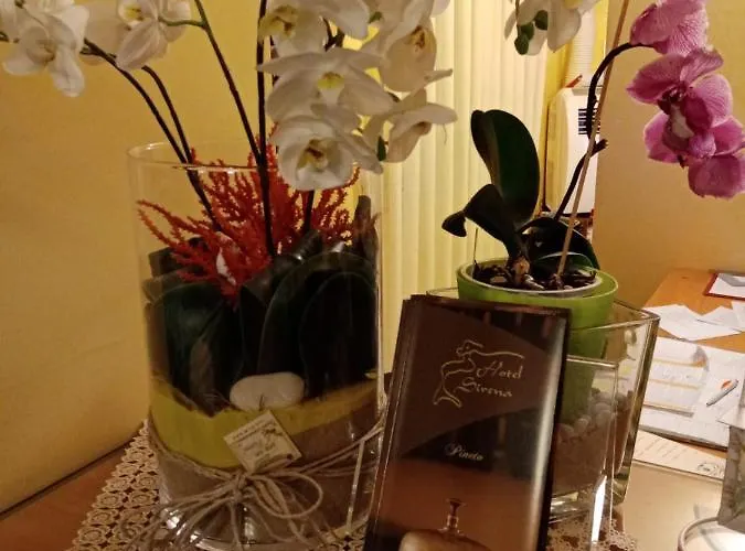 Отель Sirena 2*