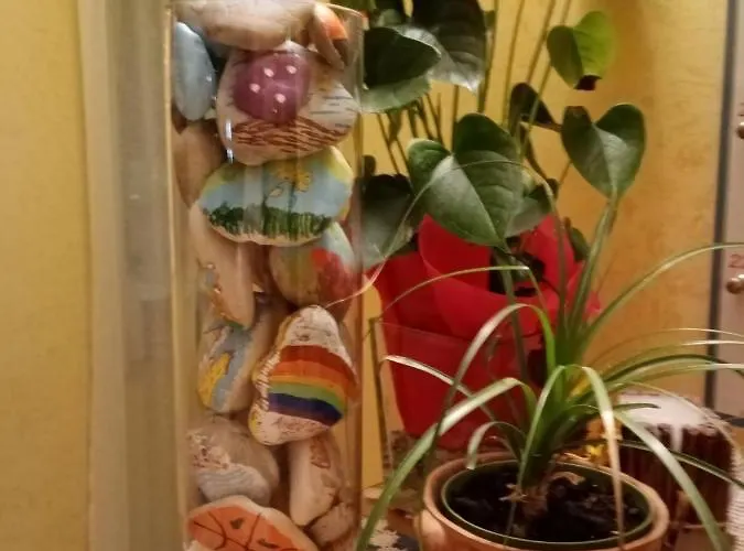 Отель Sirena 2*